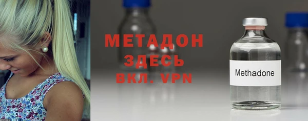индика Новозыбков