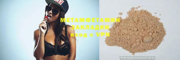 индика Новозыбков