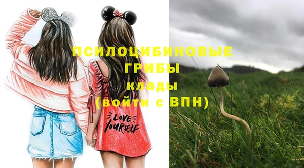 гидра Абинск