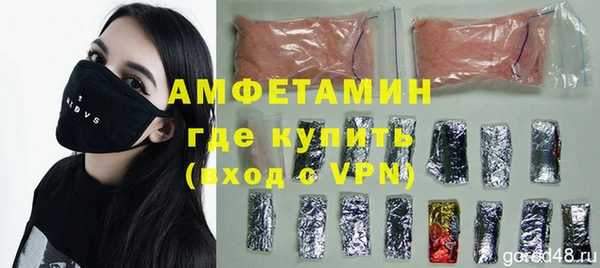 индика Новозыбков