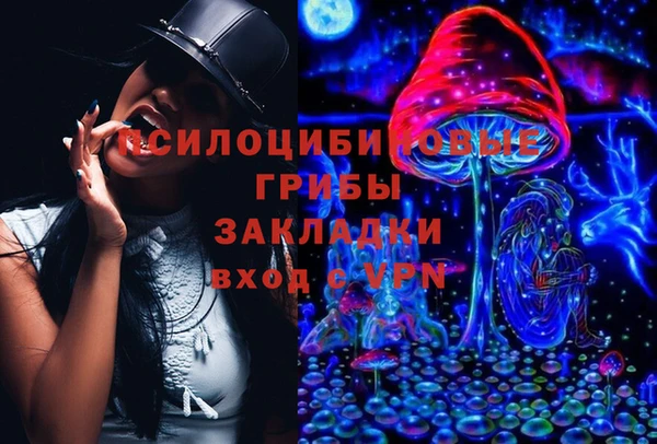 эйфоретик Новокубанск